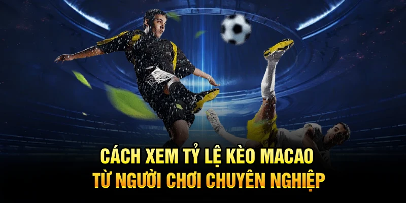 Cách xem tỷ lệ kèo Macao từ người chơi chuyên nghiệp