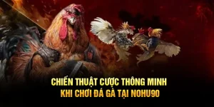 Chiến Thuật Cược Thông Minh Khi Chơi Đá Gà Tại Nohu90