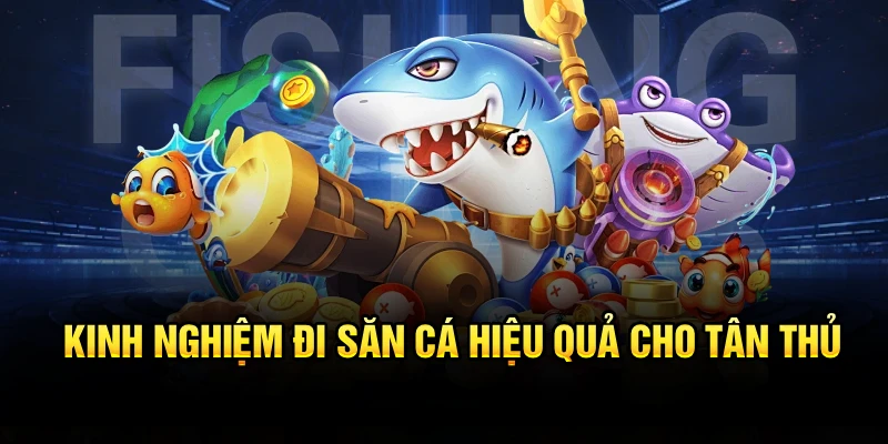 Kinh nghiệm đi săn cá hiệu quả cho tân thủ