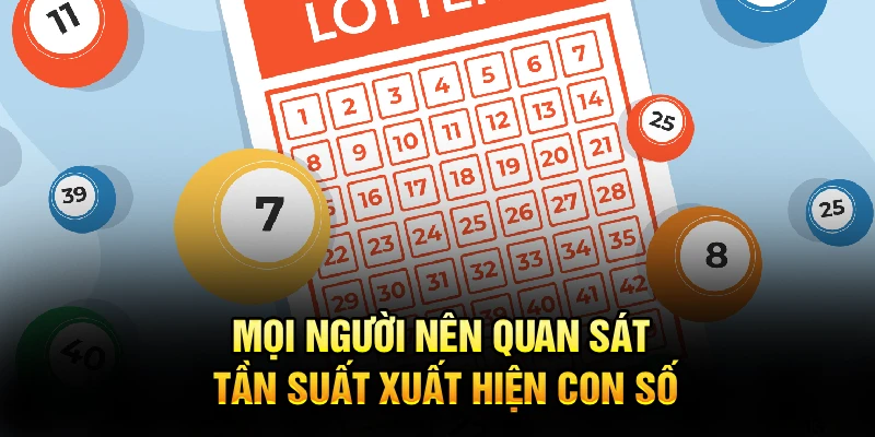 Mọi người nên quan sát tần suất xuất hiện con số