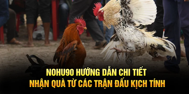 Nohu90 hướng dẫn chi tiết nhận quà từ các trận đấu kịch tính