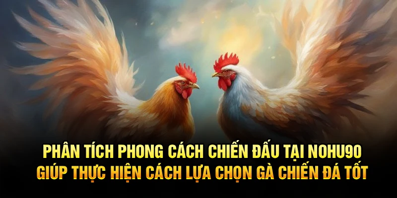 Phân tích phong cách chiến đấu tại Nohu90 giúp thực hiện cách lựa chọn gà chiến đá tốt