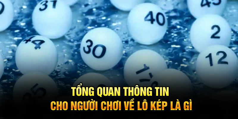 Tổng quan thông tin cho người chơi về lô kép là gì