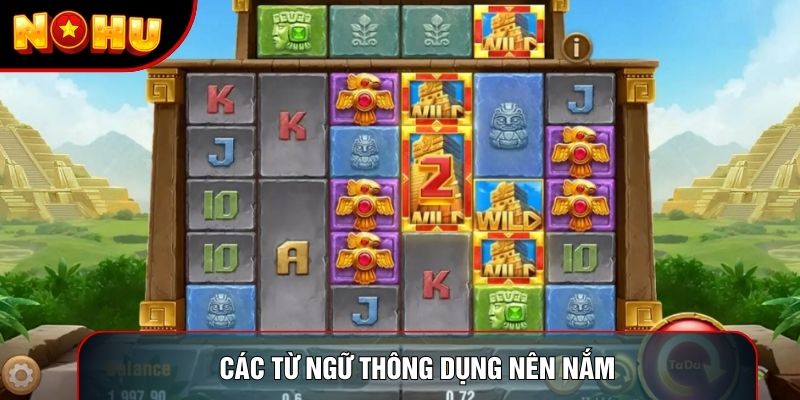 Các từ ngữ thông dụng nên nắm