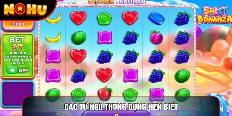 Các từ ngữ thông dụng nên biết