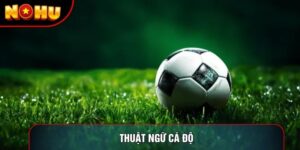 Thuật Ngữ Cá Độ Và Bí Quyết Giải Mã Tỷ Lệ Cược Thể Thao